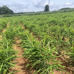 z6886311634347 23b296c2840914d264d9b51559d78ed7