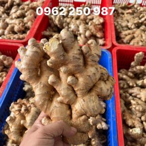 z6886311650368 cf2e77989c11fe324f648aeb76ad7376