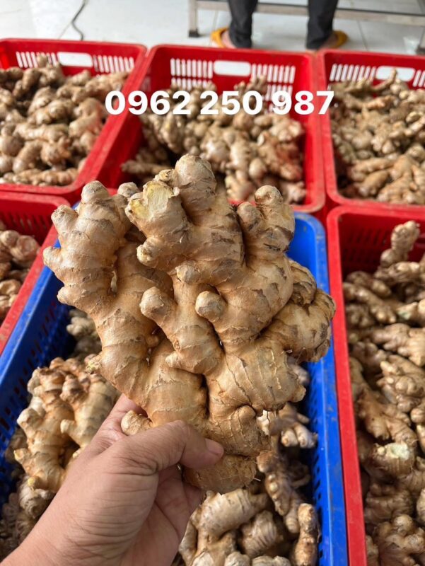 z6886311650368 cf2e77989c11fe324f648aeb76ad7376