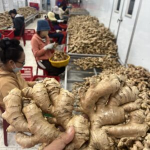 z6886311801955 1d05a58697530e2bac16378856ff33a4