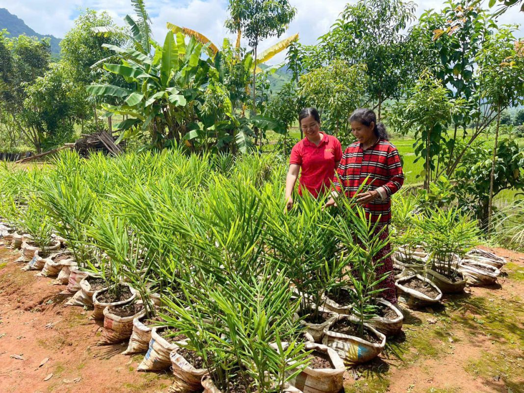 z5845380344787 d6716fd126aee954895e30adcfe8a873