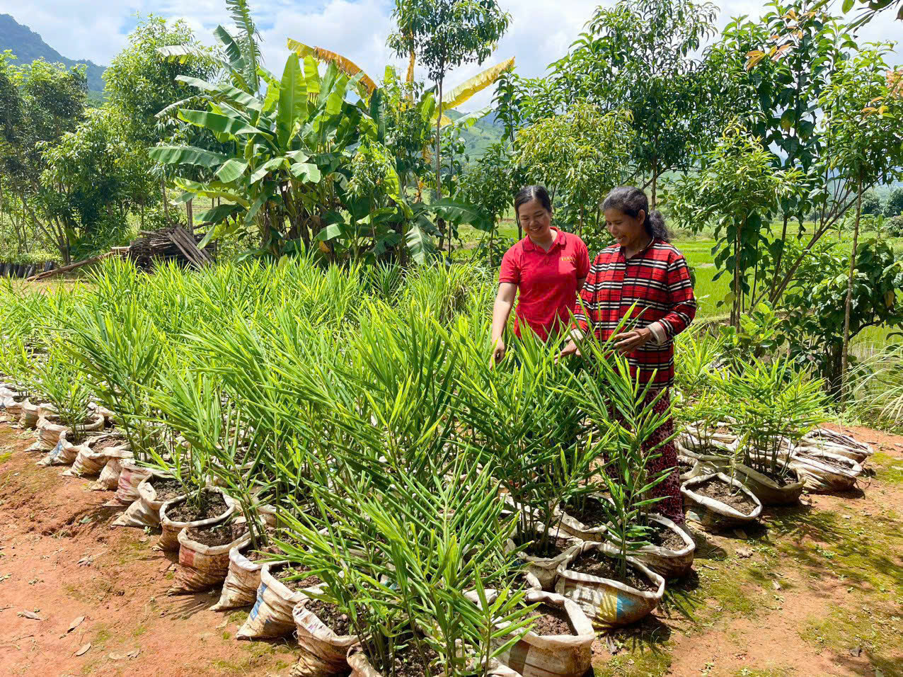 z5845380344787 d6716fd126aee954895e30adcfe8a873