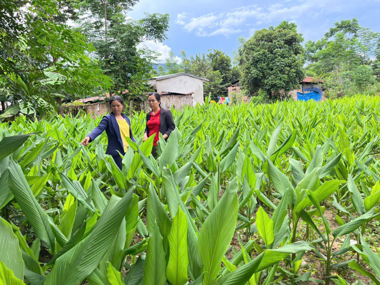 z5845380506318 20d21283231d0545937bbaf5c3ad6423