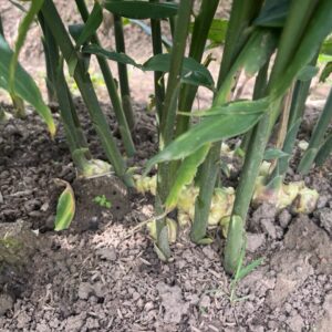 z6886311612270 c59f2a5396c57f83a5d6b10c54f4f896