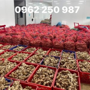 z6886311750524 82298d8cb149ddd578dd6d9d43af9a69