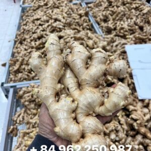 z6886311853548 c5a858a74379ae97be41ce4d88a62674