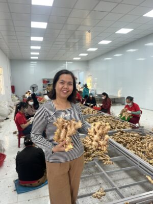 Vietnam Ginger
