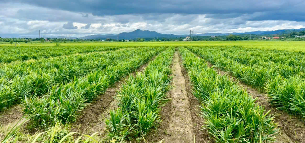 z6835776998037 2c320002f0eb666967f66d3dde4b4cd9