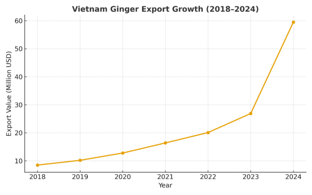 Exporting Vietnamese Ginger