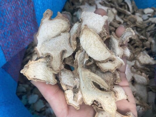 Dried Ginger Export