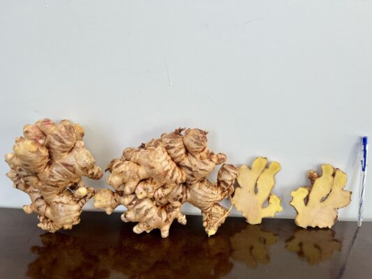 Vietnamese Dried Ginger