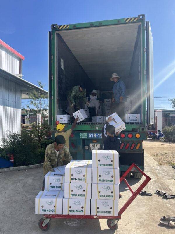 z7124209887034 4b84e29d33795ff5271b5aa0fc25308d