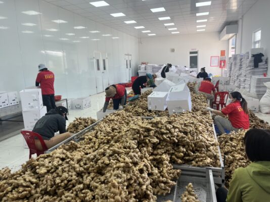 Vietnam’s Agricultural Exports