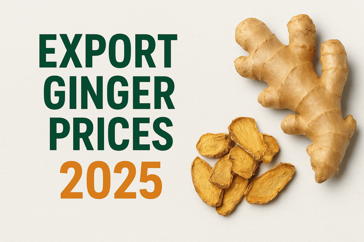Export Ginger Prices
