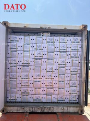 Vietnam Ginger Exporter