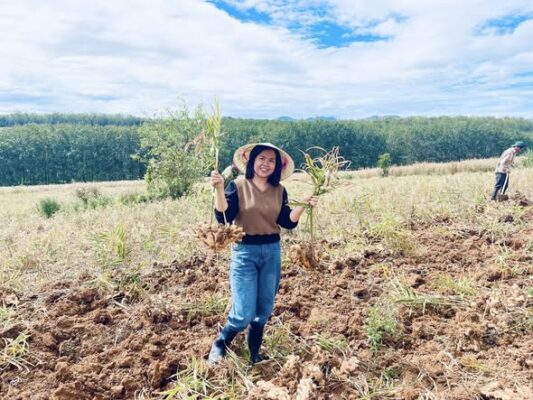 597851786 4308607176039397 2308067605381618983 n