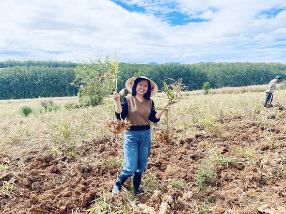 597851786 4308607176039397 2308067605381618983 n