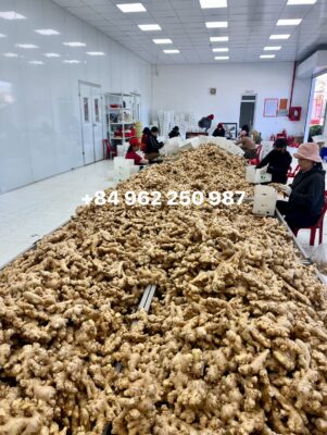 New Season Dried Ginger 