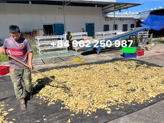 New Season Dried Ginger