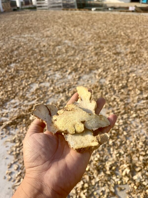 Vietnamese Dried Ginger Supplier