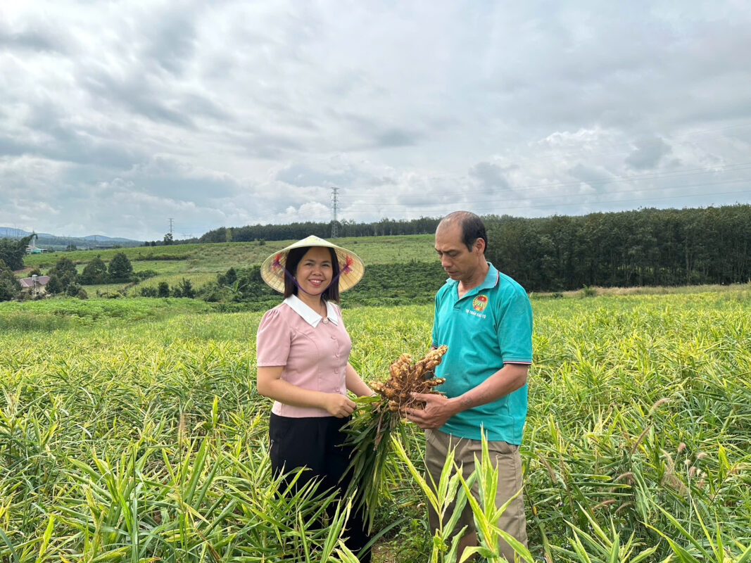 z7232086077158 fc7ffe83f2d41da06c80271353bb282e