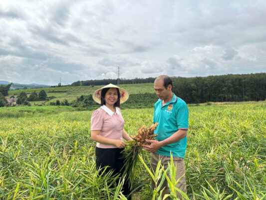 z7232086077158 fc7ffe83f2d41da06c80271353bb282e