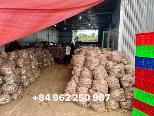 601857409 26468134536107949 6824350832149830742 n