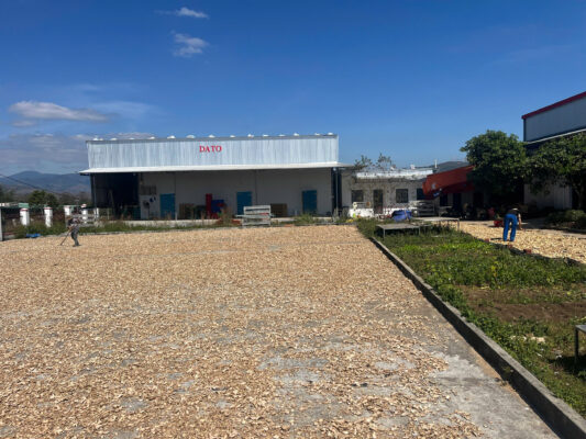 Dried Ginger Supplier 