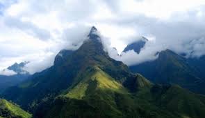 Frozen peeled ginger export to Australia