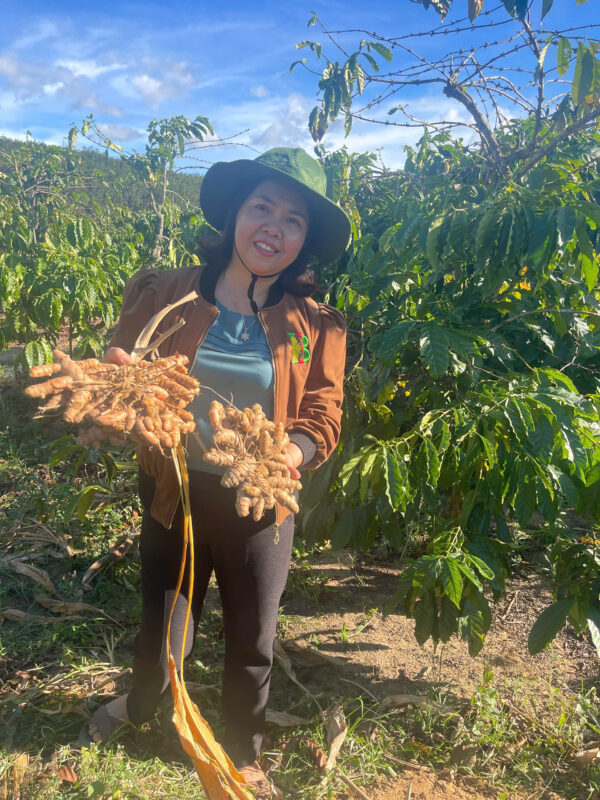 naturally grown turmeric