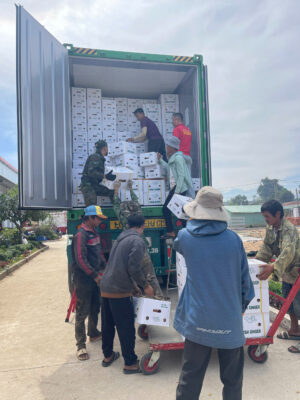 Vietnamese ginger for US market