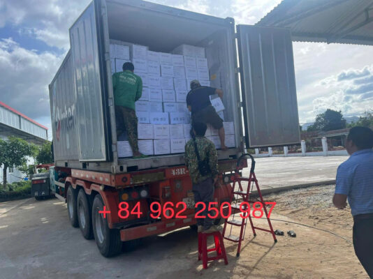 Fresh ginger supplier Indonesia