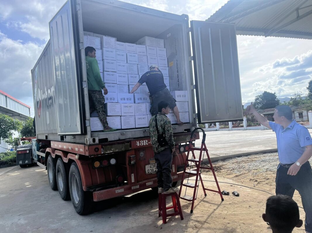 Frozen whole peeled ginger export to Korea