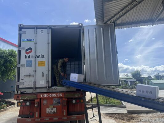 Frozen whole peeled ginger export to Korea