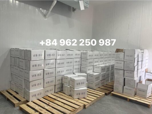 Frozen whole peeled ginger export to Korea