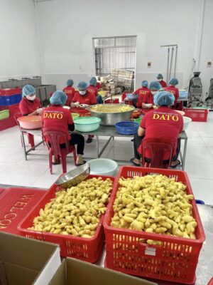 Frozen whole peeled ginger export to Korea