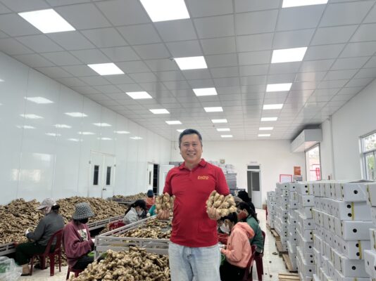 Indonesia ginger import market analysis