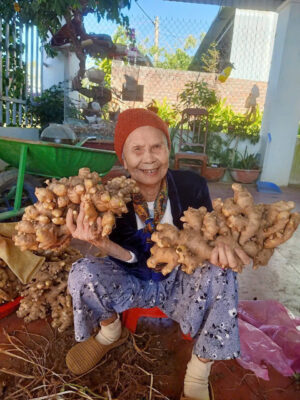 Frozen ginger export USA