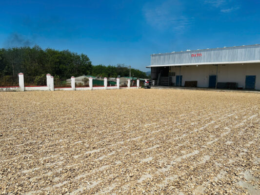 z7592903901785 75278651605ce79085109ff901ae60bd