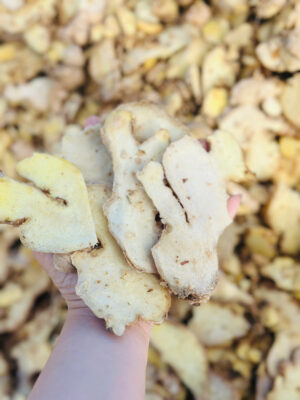 z7615355293769 6c55afbf934b3a29f8cb4f53a237f8c5 1