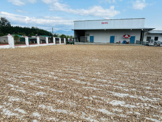 Dried ginger export to Indonesia
