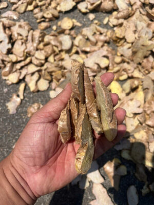 Dried ginger EU market supplier