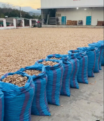 z7663470099987 513c7d47779e1aac3697801103a33f4e