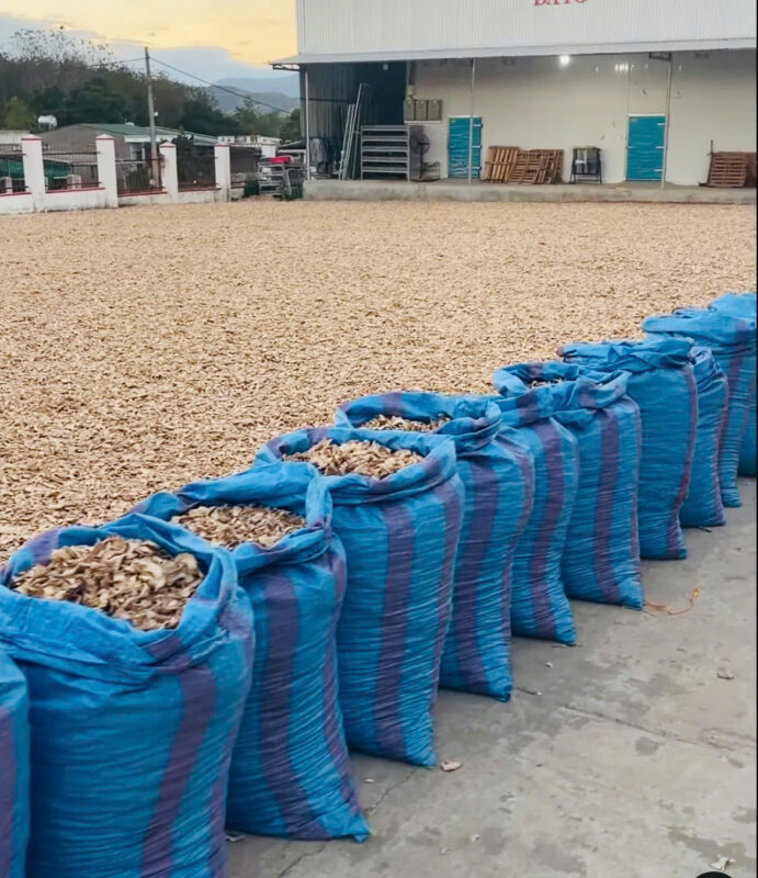 z7663470099987 513c7d47779e1aac3697801103a33f4e