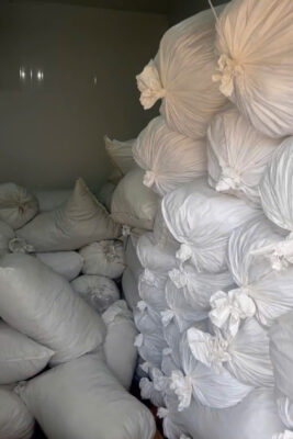 Dried Ginger Supplier for India