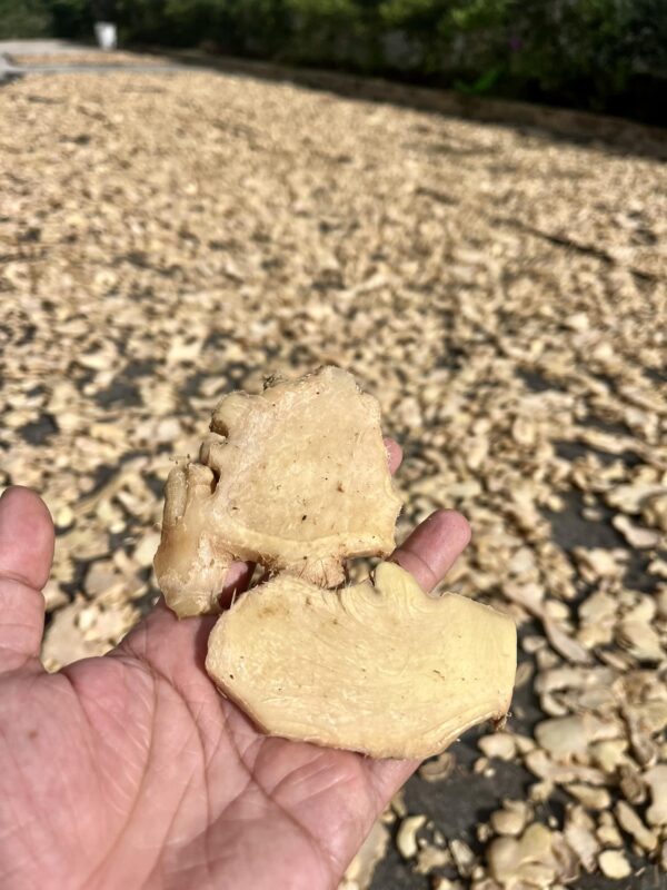 Dried Ginger Exporter Vietnam