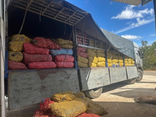 direct factory for dried ginger in Vietnam