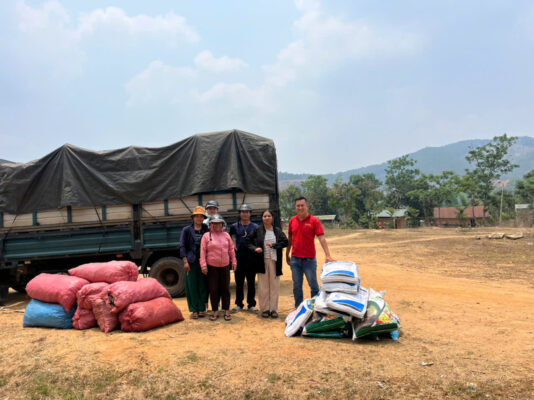 Ginger seedling support