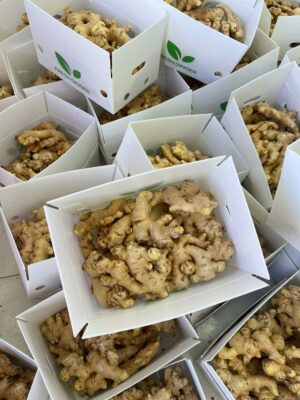 Fresh Ginger Vietnamese Supplier for Australia