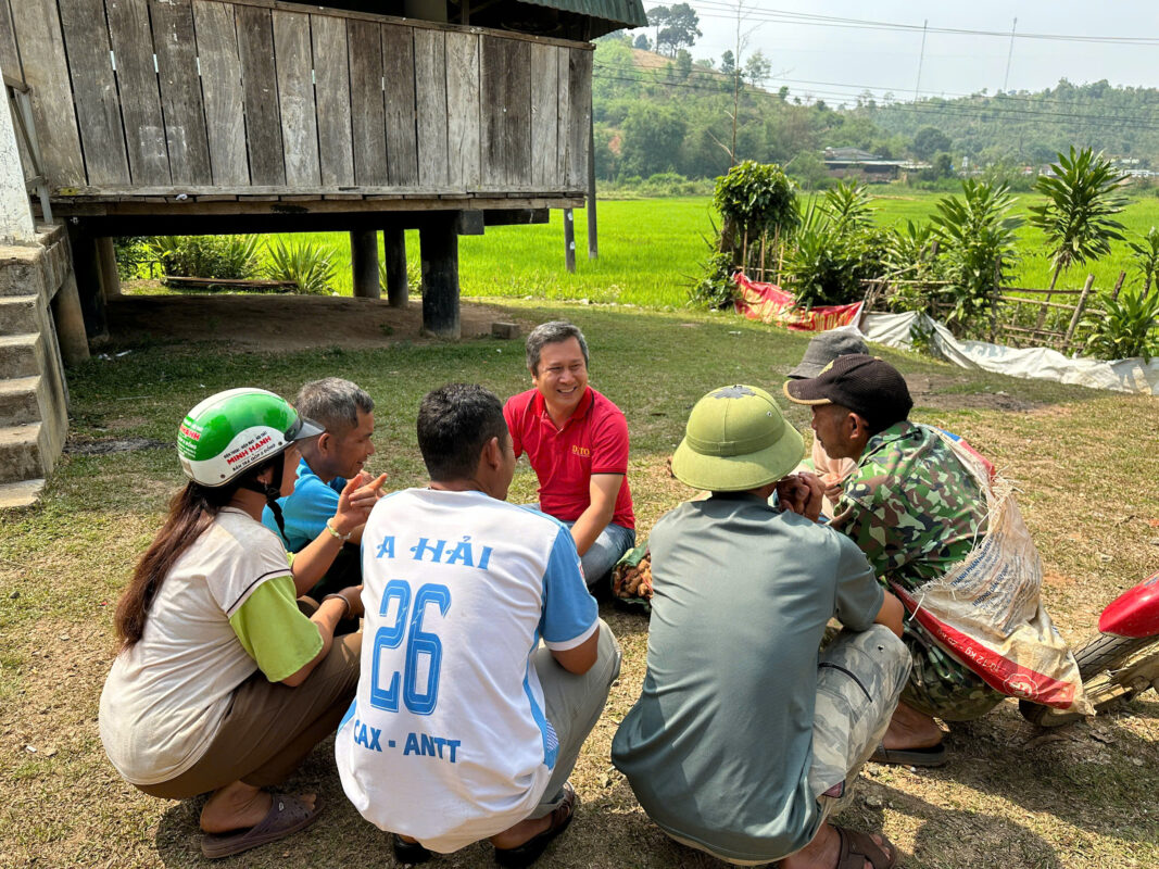 Ginger seedling support